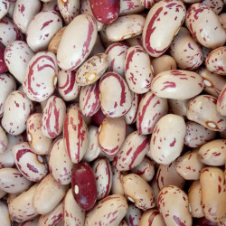 ALUBIA PINTA BOLSA 5Kg